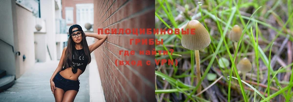 ECSTASY Балахна