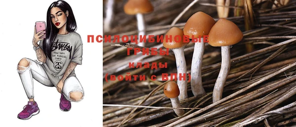 ECSTASY Балахна