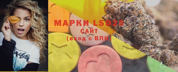 шишки Балабаново