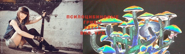 ECSTASY Новодвинск