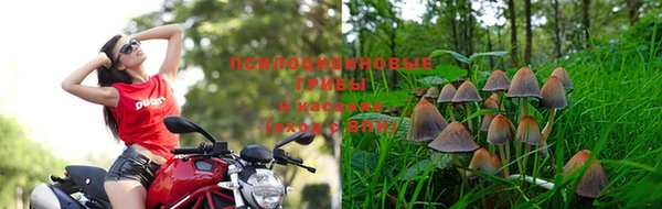 метадон Баксан
